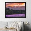 Пейзажна фотография - Лавандула в Пирин по залез Пейзажна фотография - Лавандула в Пирин по залез