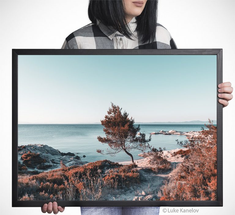 кипарис говори на морето
