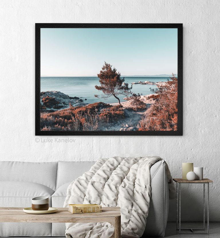 Самотен кипарис край морето ,морска пейзажна фотография