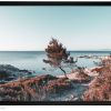 Самотен кипарис край морето ,морска пейзажна фотография