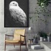 11print-art-idea Арт фотография, Черно-бяла снежна сова