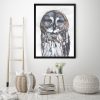 Арт фотография голяма сива сова