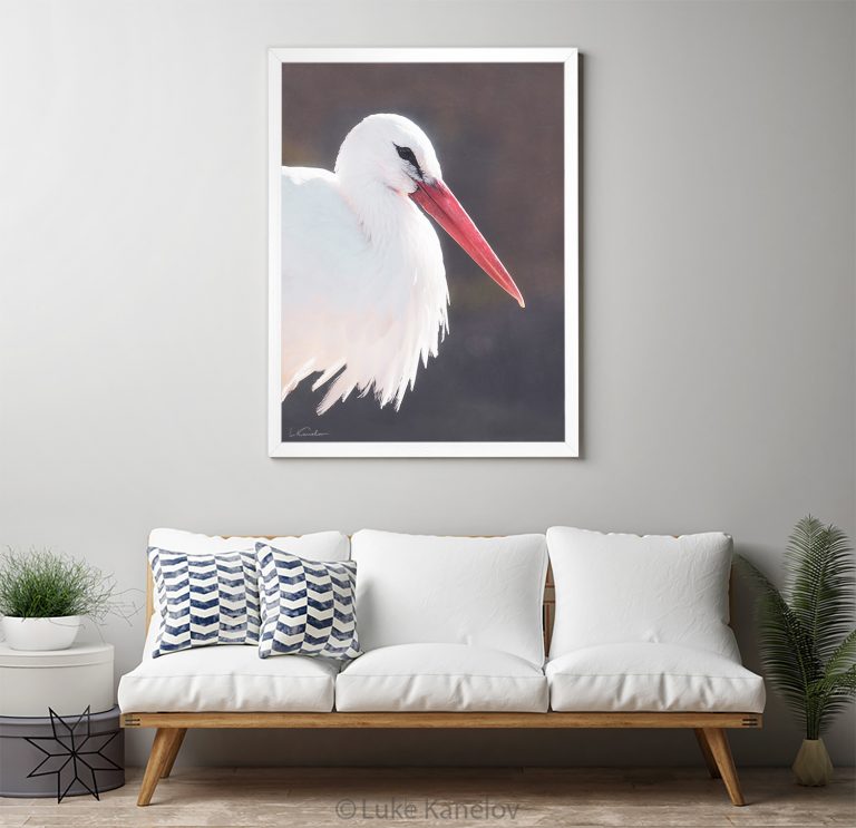 21print-art-idea Арт фотография, Щъркел