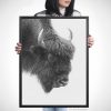 Черно бяла арт фотография, Европейски бизон Черно бяла арт фотография, Европейски бизон