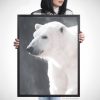 Арт фотография, Бяла полярна мечка Арт фотография, Бяла полярна мечка
