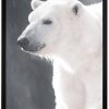 Арт фотография, Бяла полярна мечка Арт фотография, Бяла полярна мечка