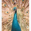 Арт фотография, Златен паун Арт фотография, Златен паун
