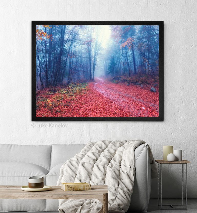 пейзажна фотография път през есенна гора