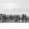 Зимна пейзажна фотография - фотограф Любомир Канелов
