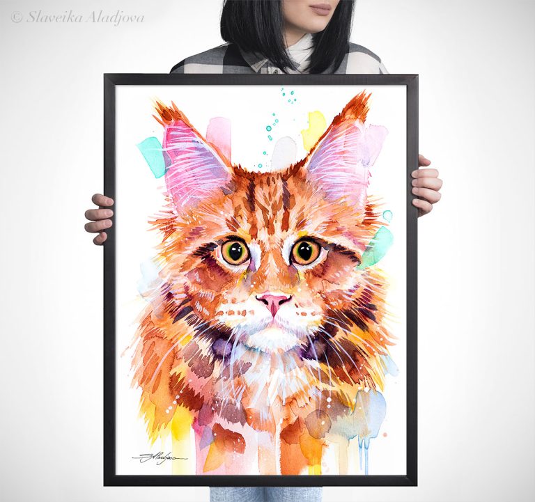 Мейн Кун котка