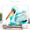 American White Pelican