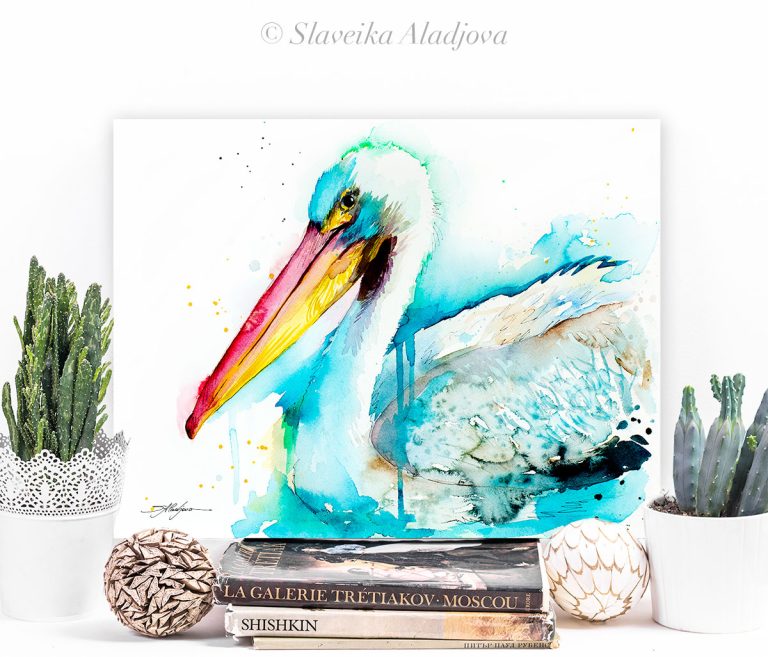American White Pelican