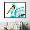 American White Pelican
