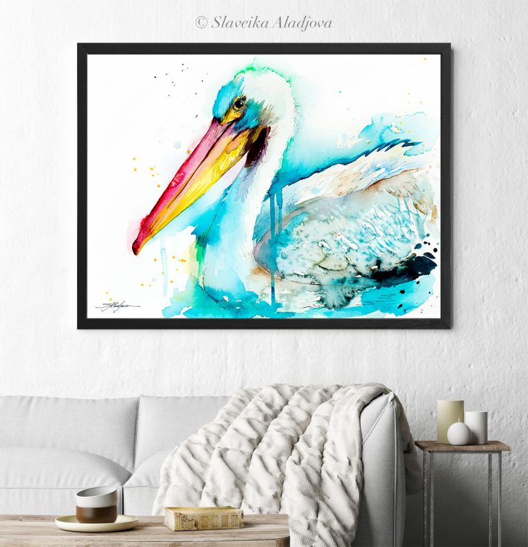 American White Pelican
