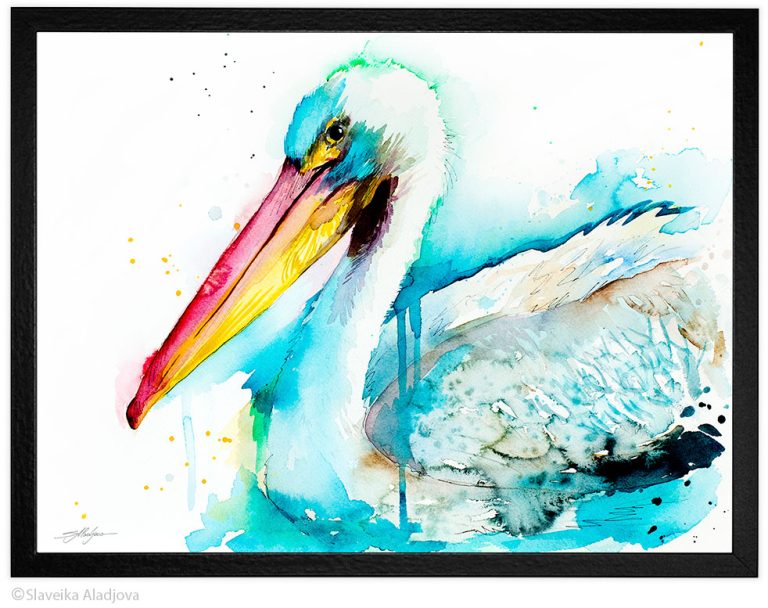 American White Pelican