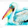 American White Pelican