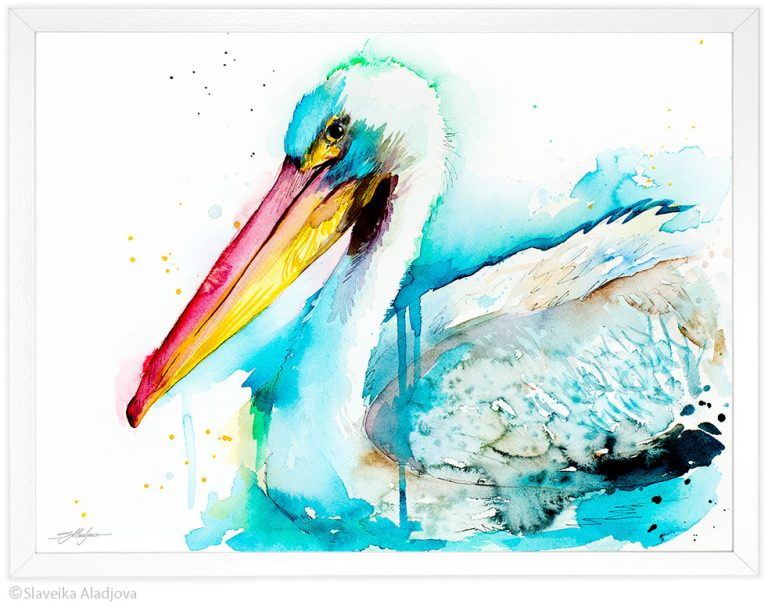 American White Pelican
