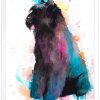 Фландърско бувие