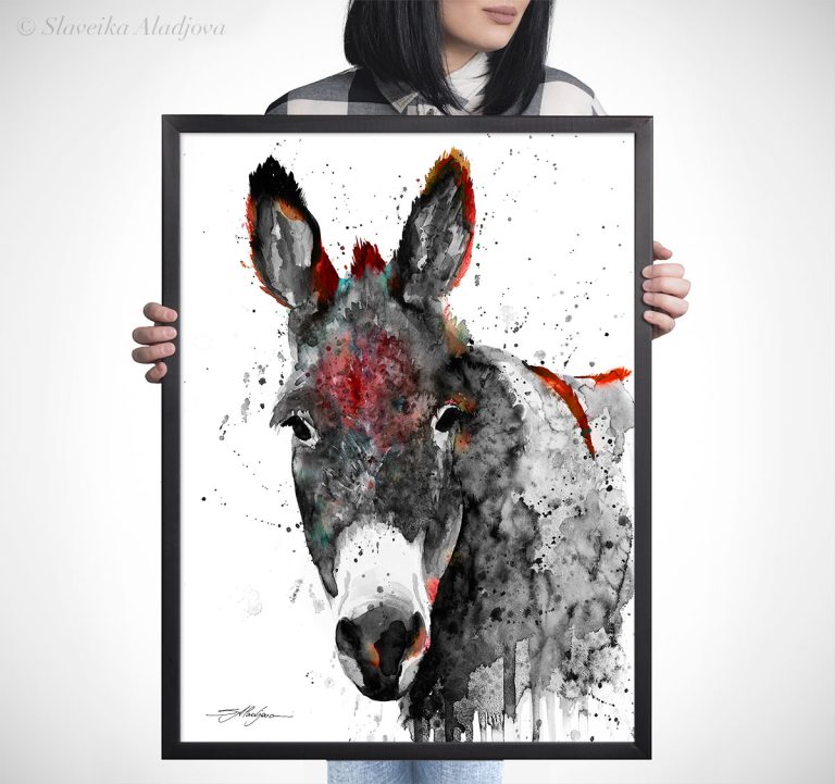 Black and white Donkey