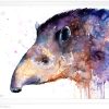Тапир