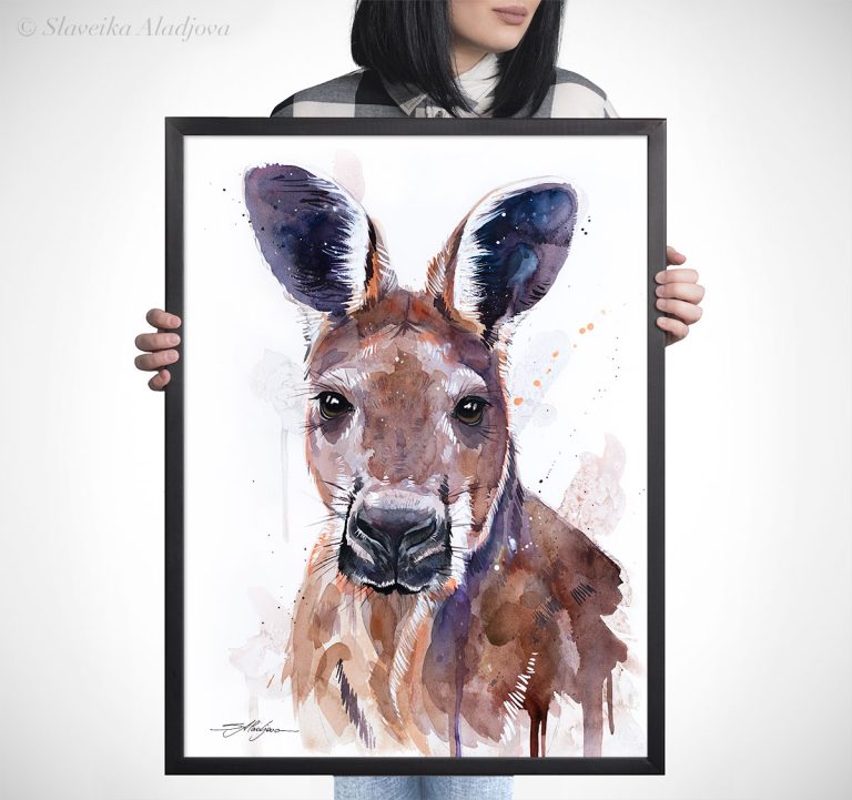 Red kangaroo watercolor 5 Ръждиво кенгуру