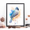 Тафтинг синигер Тафтинг синигер