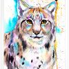 Eurasian lynx watercolor 8 Рис