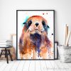 Fur seal watercolor 3 Тюлен