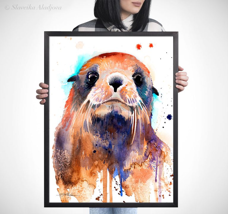 Fur seal watercolor 5 Тюлен