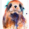 Fur seal watercolor 8 Тюлен