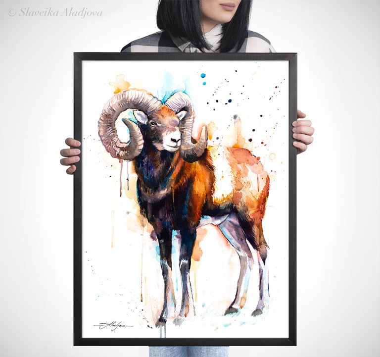 Mouflon ram watercolor 5 Муфлон