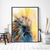 North American porcupine