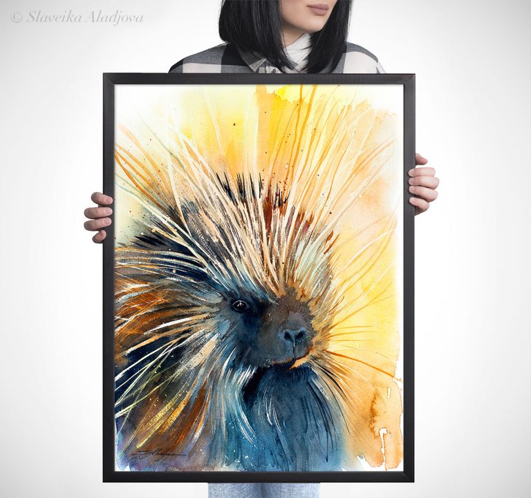 North American porcupine