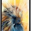 North American porcupine