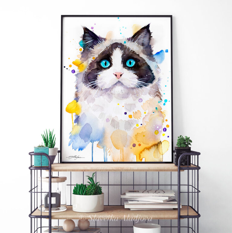 Котка Рагдол Котка Рагдол