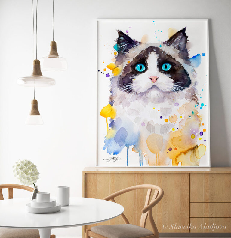 Котка Рагдол Котка Рагдол