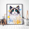 Котка Рагдол Котка Рагдол