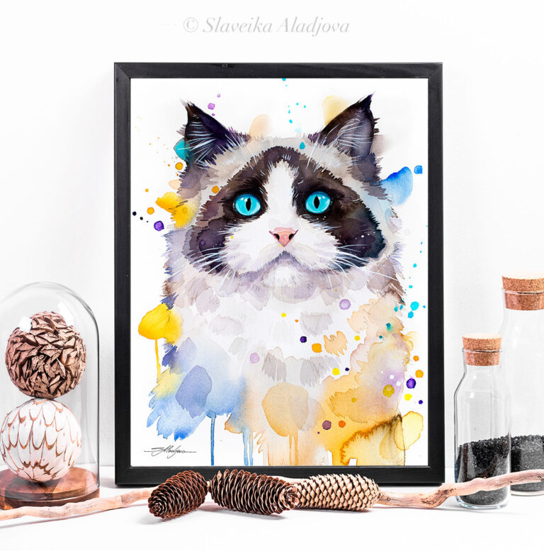 Котка Рагдол Котка Рагдол